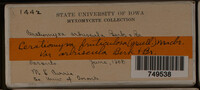 Image Associated With the Occurence